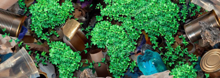 Los plásticos biodegradables impulsan el reciclado orgánico y mejoran el mecánico