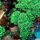 Los plásticos biodegradables impulsan el reciclado orgánico y mejoran el mecánico