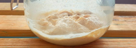 El secreto del pan elaborado a partir de masa madre de cultivo