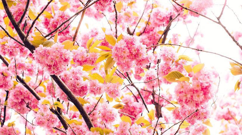 10 consejos para sobrellevar mejor la psoriasis en primavera