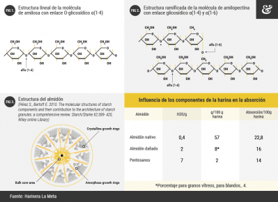 ¿Cuánto sabes sobre el almidón en panadería?