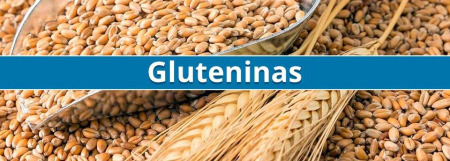 Nuevas variantes de gluteninas pueden tener un papel determinante en la calidad del trigo