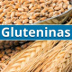 Nuevas variantes de gluteninas pueden tener un papel determinante en la calidad del trigo